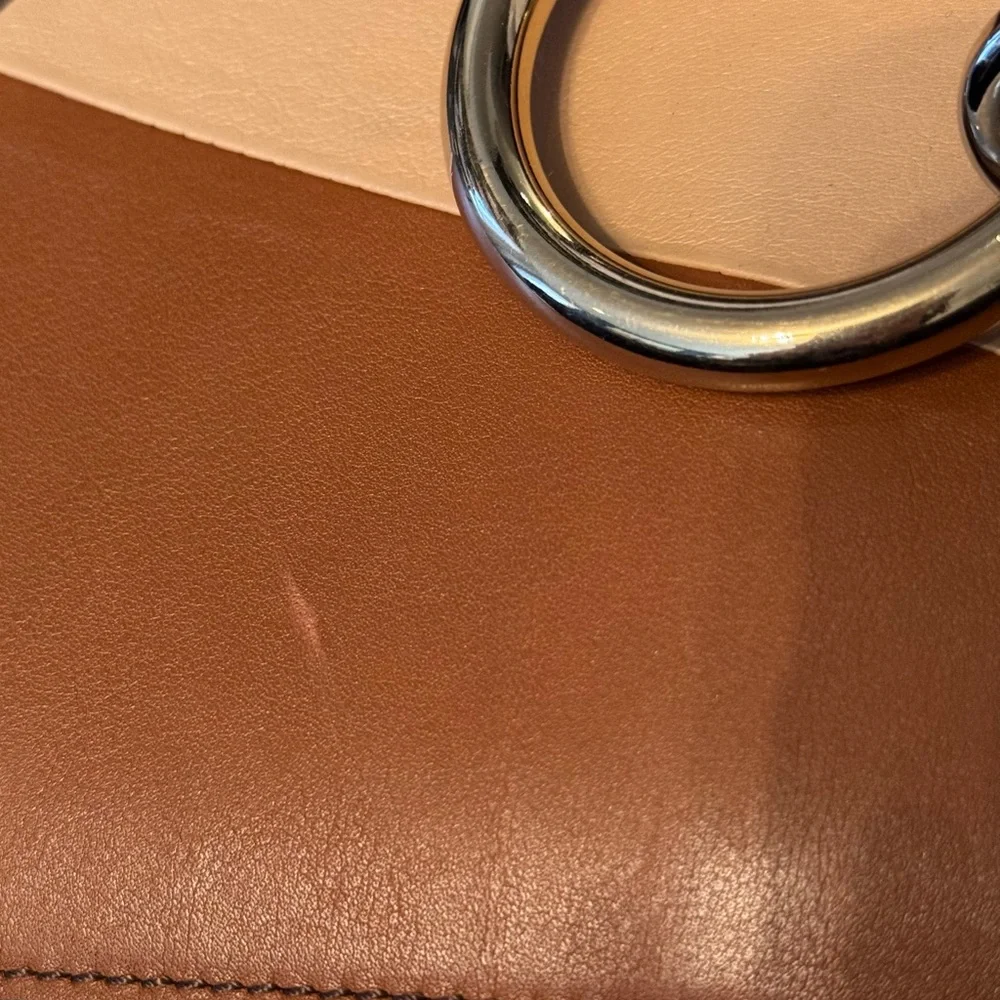 RARE Colorway Chloe Faye Patchwork Calfskin Bag - Picture 3 of 11